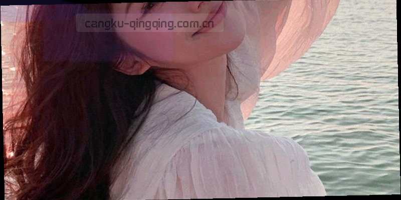 展开的胶片条配合箭头标识，示意访问目录、选择版本、下载与双窗口对比的操作流程